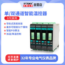 TOKY东崎GTE导轨单双通道温度控制器模拟量采集模块PID智能调节