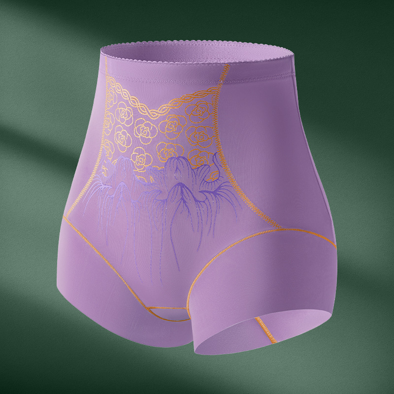 Panty Moldeador de Cintura Alta de Nailon, Control de Abdomen, Levanta Glúteos, Sin Costuras, para Uso Postparto image 8