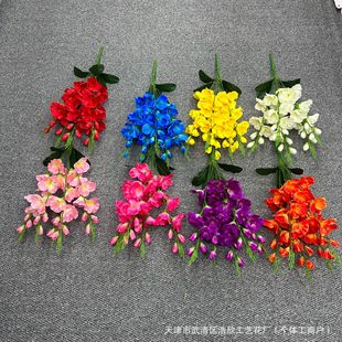 �S��ֱ�N���滨�Wʽ��ɫ5��ф��m�������bF؛���l