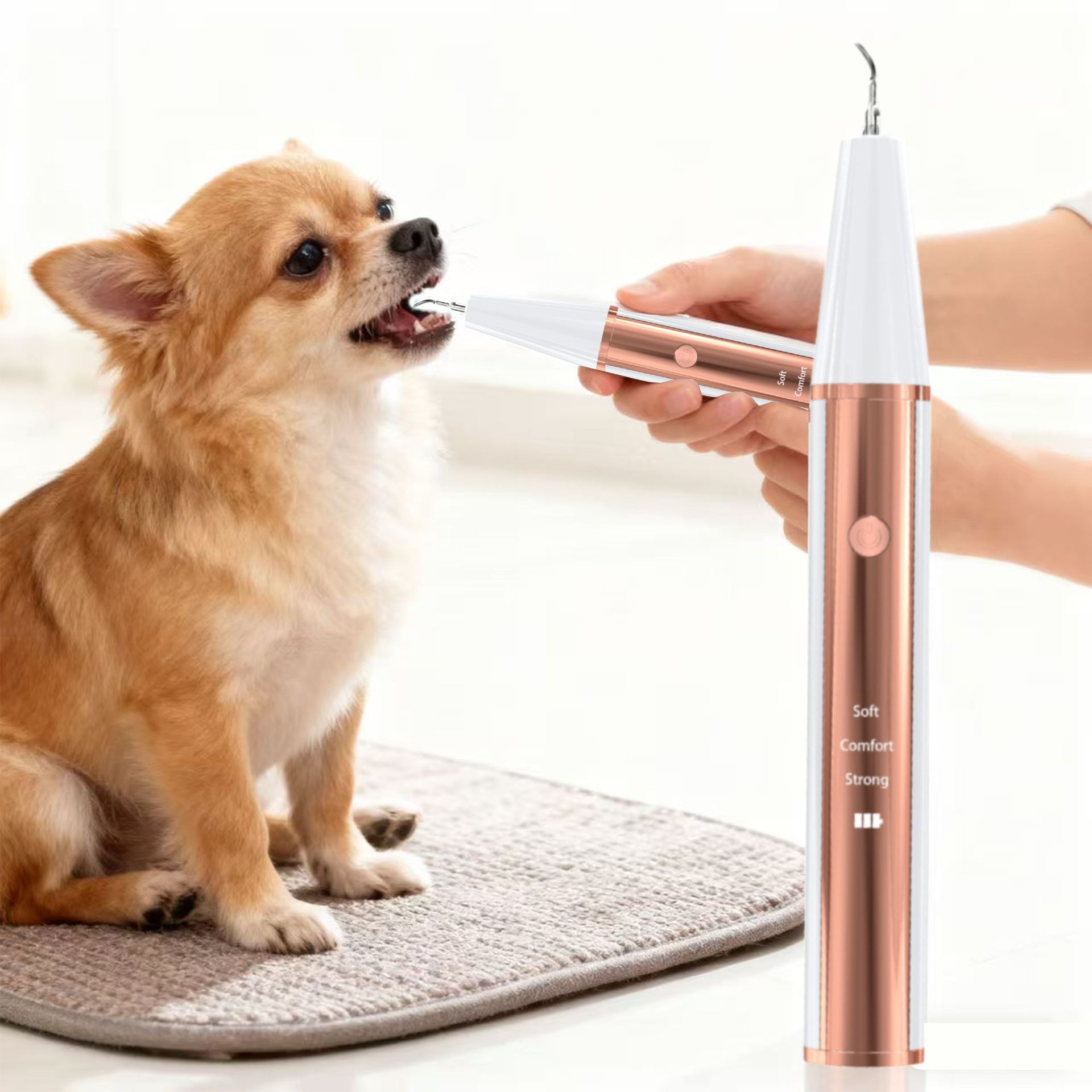Limpiador dental ultrasónico transfronterizo para mascotas Laisen, limpiador dental eléctrico para perros, dispositivo dental de belleza para el hogar, máquina de eliminación de cálculos