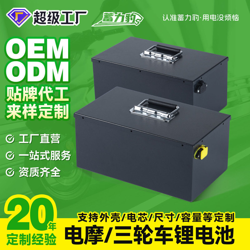 Lithium Battery Customized Lithium Iron Phosphate Battery 48V Electric Vehicle Tricycle Large Single Polymer Power Lithium Battery