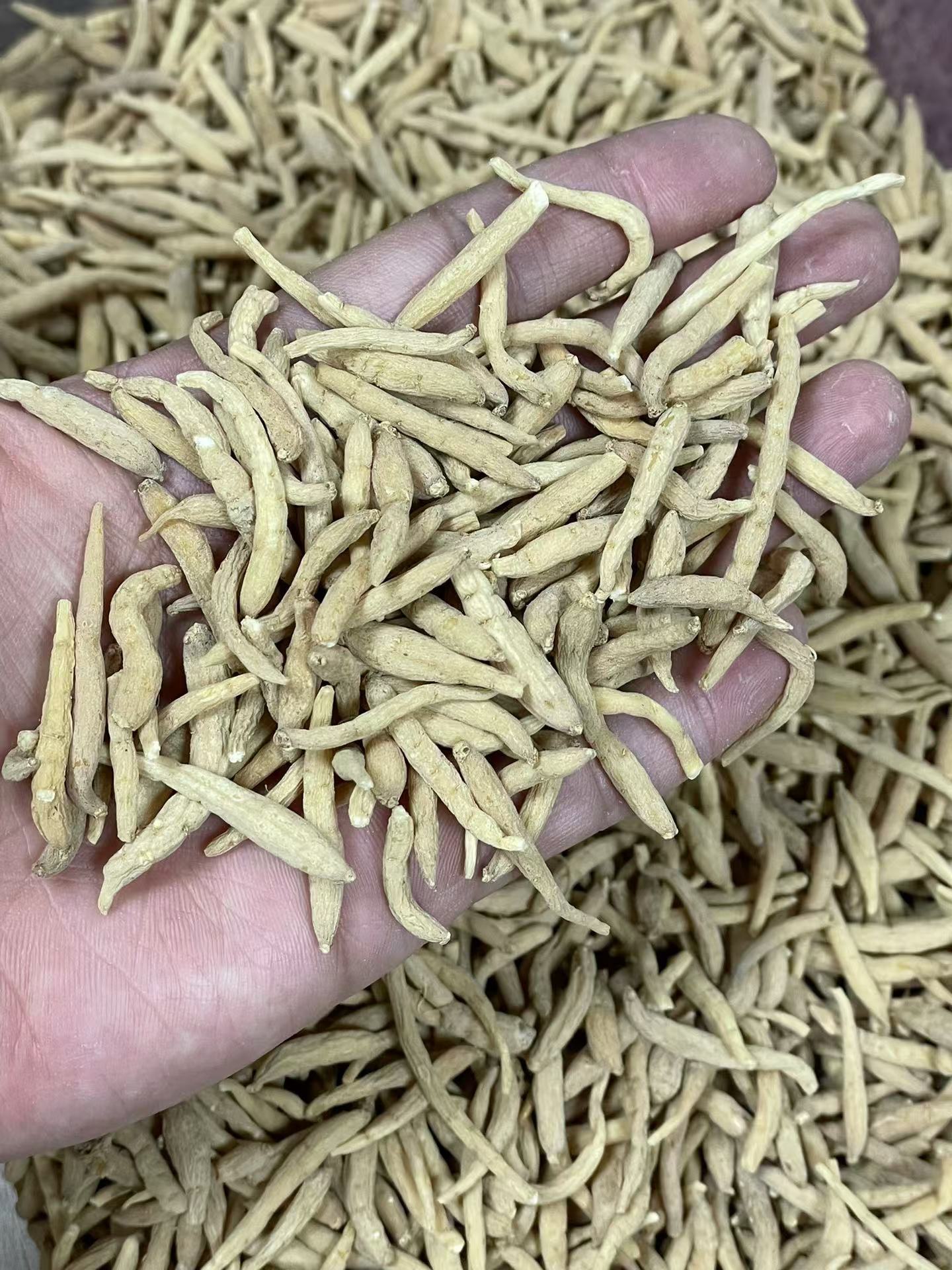 Dried Tai Zi Shen Root Slices Bulk 250g孩儿参 Large Grade Fujian Origin key features