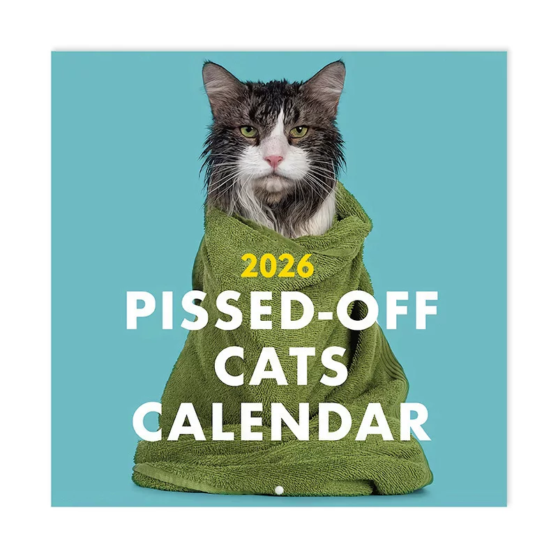 Кросс-бортные новые продукты 2026 календарь злого кота Angry Cat Calendar Horseback Stud Style Spot
