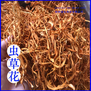 ������ֱ�N����؛�x�ݻ���؛ɢ�b500g��؛���l��Ӽ�x�ݹ���������