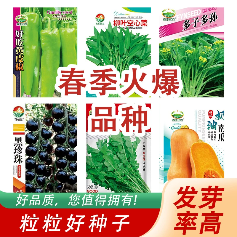 Оптовые овощные семена для всех сезонов, весна, лето и осень, семена дыни и фруктов, балконные горшечные сельскохозяйственные угодья, огородные овощные семена
