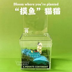 苔マイクロ風景屋内生態ボトルデスクトップミニ苔鉢植え小さな緑の植物パンダ装飾品オフィスギフト