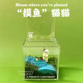微景观;微景观瓶;其他园林植物