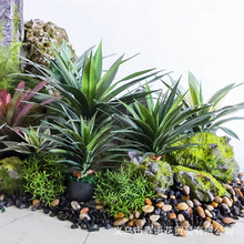 ���愦�鄦�m�J�C�����m���m�F�ᎧɳĮֲ���쾰�bGֲ���Ԕ[��