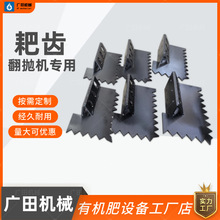 ЙCaO݆PʽʽљCCXƬSҶ