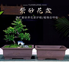 �ش�̖��ɰ�����L�����辰���R���҃Ȼ������ɽ�쾰�մ������^��