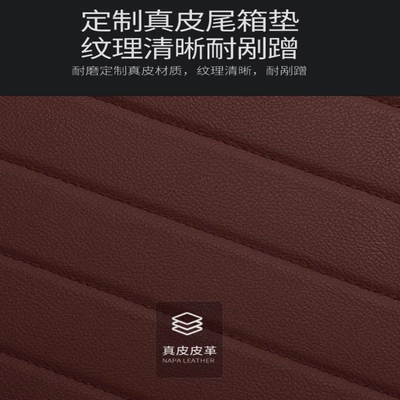 Trunk Mat – Model Suitable for