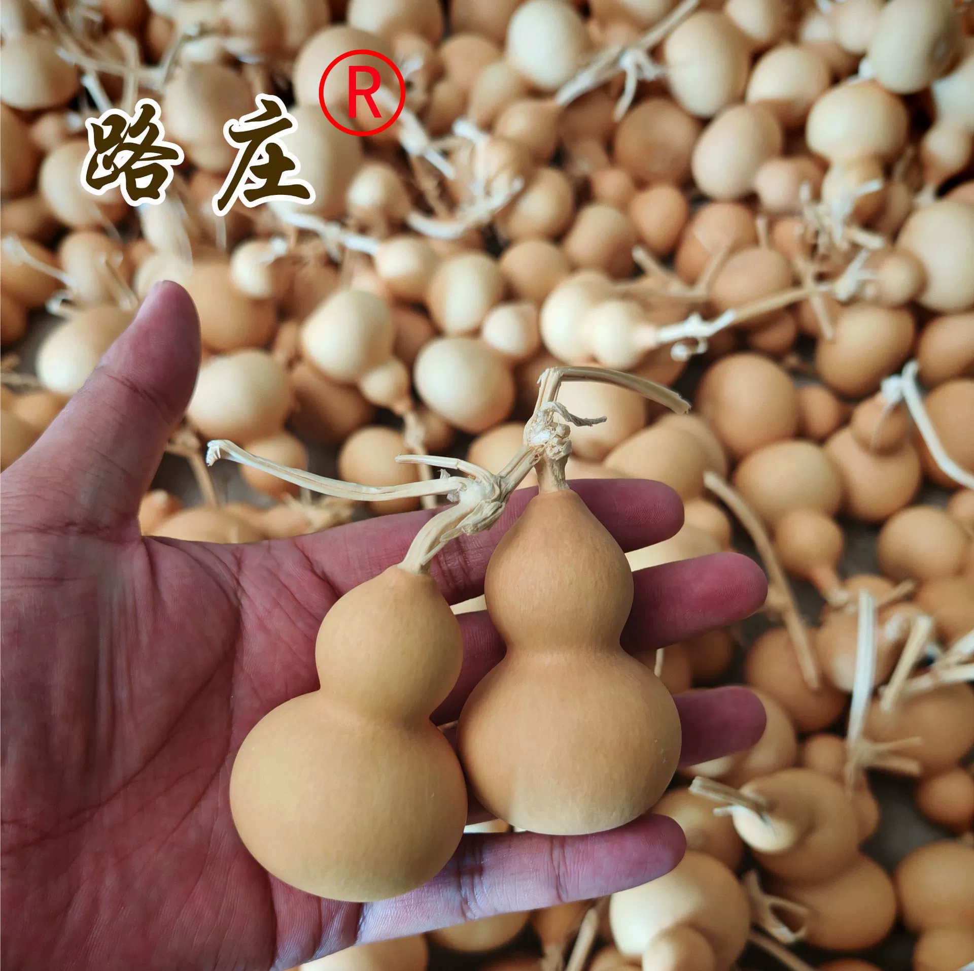 Оптом от производителя: американские тыквы ручной вязки, натуральные тыквы для рукоделия, маленькие тыквы для лавок, премиальные американские тыквы.