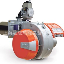 ��惞�������BALTUR�ٵ�偠tȼ���CTBG45MC�ɶλ�ȼ��ȼ����