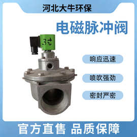 脉冲电磁阀布袋除尘器淹没式脉冲阀3寸直角阀防爆型电动控制