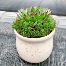 ����ֲ���^��ɏ���Զ��^�Ϙ��ӌO�M�ÿ͏d�����ļ����B�����҃�