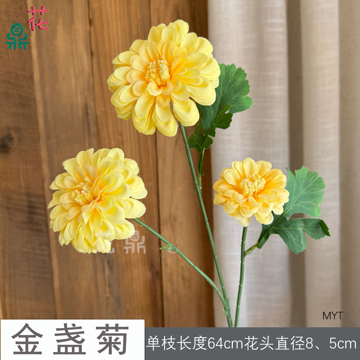Calendula MYT Vàng
