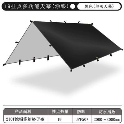 Protection Portable Multi-Point — Avtomobil yan çətirləri - silver-coating-19-hanging-point-black-sky-curtain-outer-bag-no-accessories-3x3m