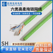 ���� ���I����朾W�����UTP�p�g�o���� �͓p��19/0.12AS PVC�ⱻ