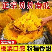 正宗贝贝南瓜新鲜板栗味小南瓜栗面老瓜整箱包邮孕妇宝宝辅食