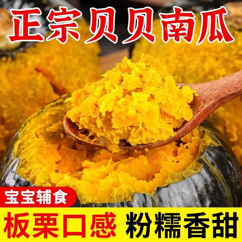 正宗贝贝南瓜新鲜板栗味小南瓜栗面老瓜整箱包邮孕妇宝宝辅食