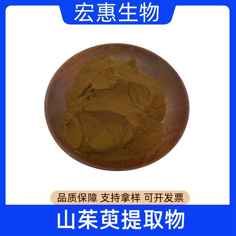 山茱萸粉 山茱萸提取物  水溶 高比例萃取  现货供应