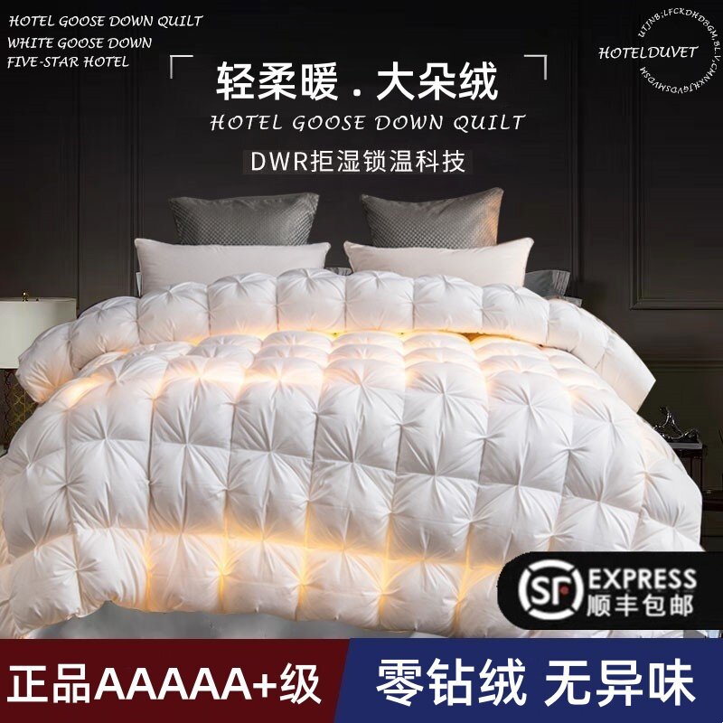 Down Quilt 95% White Goose down Quilt, Cotton Anti-Shedding Thickened Quilt, Warm Winter Quilt, Single/Double down Quilt Core
