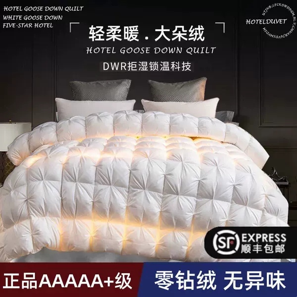 Down Quilt 95% White Goose down Quilt, Cotton Anti-Shedding Thickened Quilt, Warm Winter Quilt, Single/Double down Quilt Core