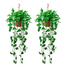 �G�}�����L�پG�}����҃��k���һ���ˮ�����l���~�L�پG�}�辰