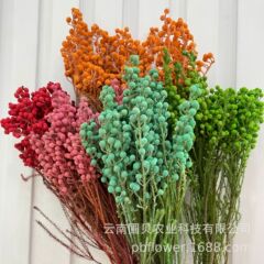 花者浮遊瓶DIY花材卸売りろうそく香薫配材永生サンゴ果多色卸売り