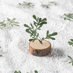 Boiled Color Cloud Aromatic Leaf Real Leaf Plant Specimen Real Leaf Plastic Real Flower Leaf Sticker Dried Flower Embossed Mobile Phone Case