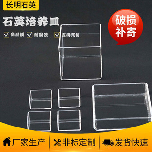 ����Ҍ���  �͸ߜ��͸��g���� ���B�� �S��ֱ�l �r�񌍻�