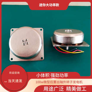 100W permanent magnet outer rotor generator/micro generator fitness equipment high power