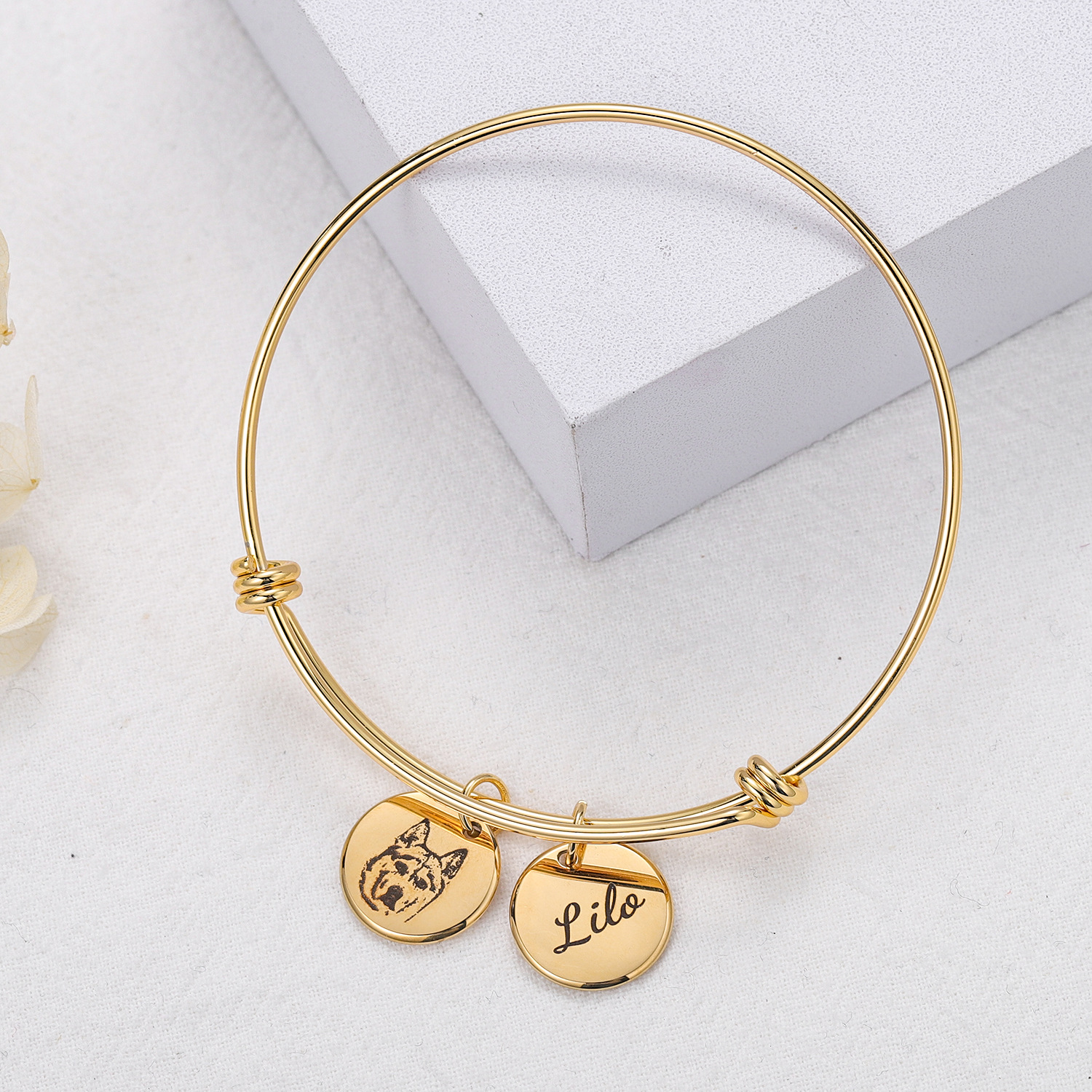 Personalized-Pet-Photo-Disc-Br