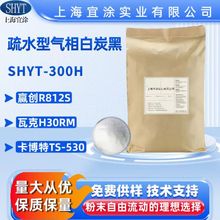 ��ˮ�͚����������SHYT-300H�����A��R812S�߿�H30RM������TS-53