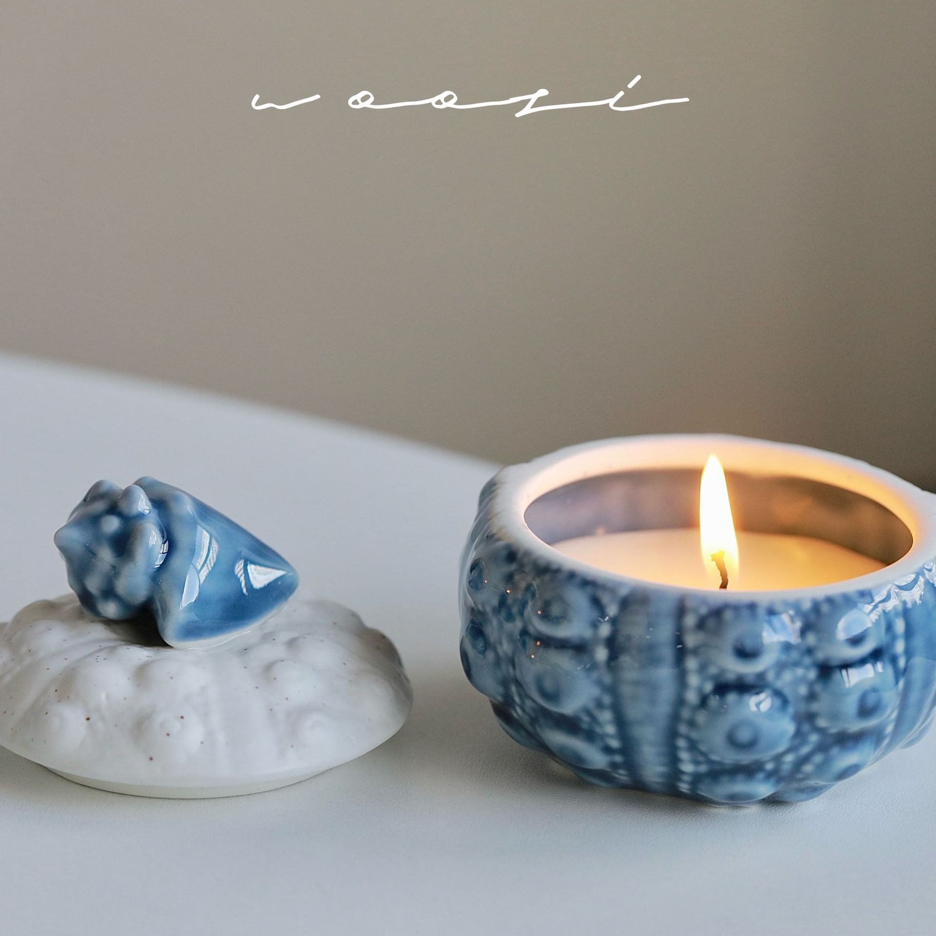 Vela aromática artesanal de cera de soja em forma de concha_voghion.com