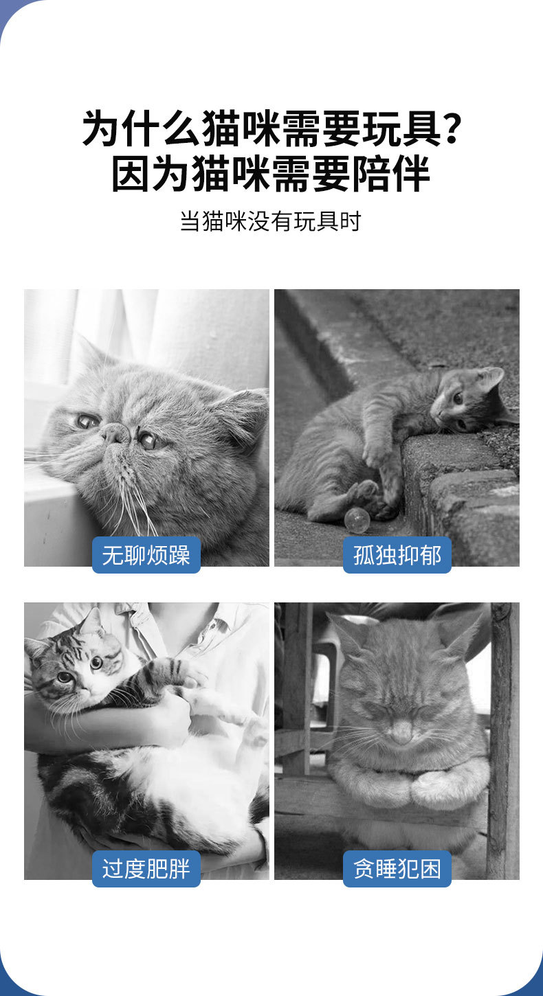 激光逗猫棒