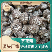 茶花菇 茶花菇品牌 图片 价格 茶花菇批发 阿里巴巴 茶花菇 茶花菇品牌 图片 价格 茶花菇批发 阿里巴巴