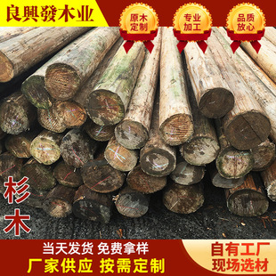 ����  ɼľ ��ߴ�ɼľ��� ľ�� ɼľԭ�� ���߶���