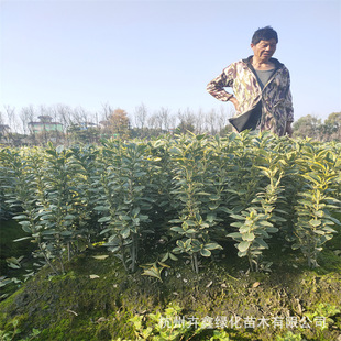 ���ش������l��߅�S����G��С����~�S��С�~�S������S��