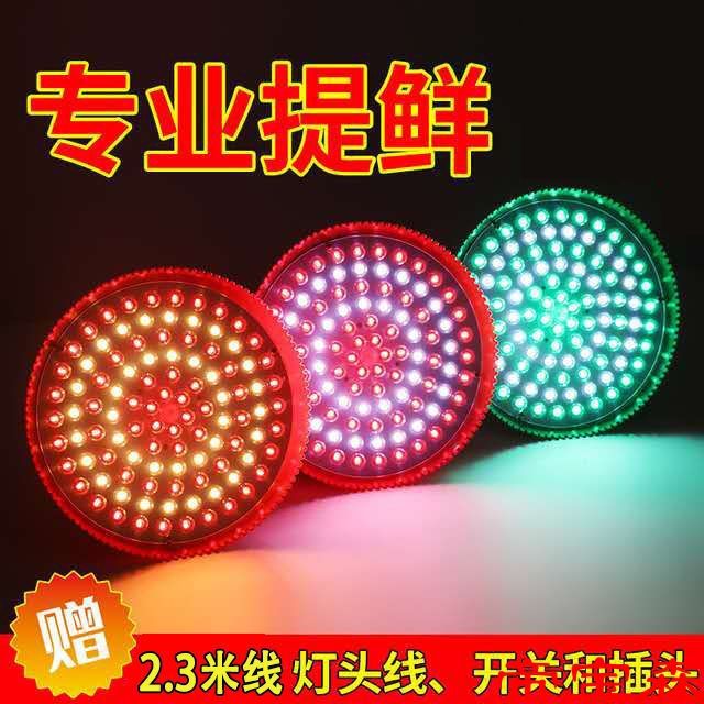 LED生鮮燈水果蔬菜豬肉燈 熟食專用燈鹵肉鹵菜紅色地攤燈海鮮超亮