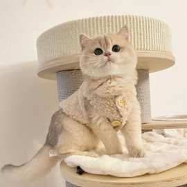 矮脚猫咪衣服秋冬季天曼基康拿破仑过冬专用加绒背心幼猫可爱马甲