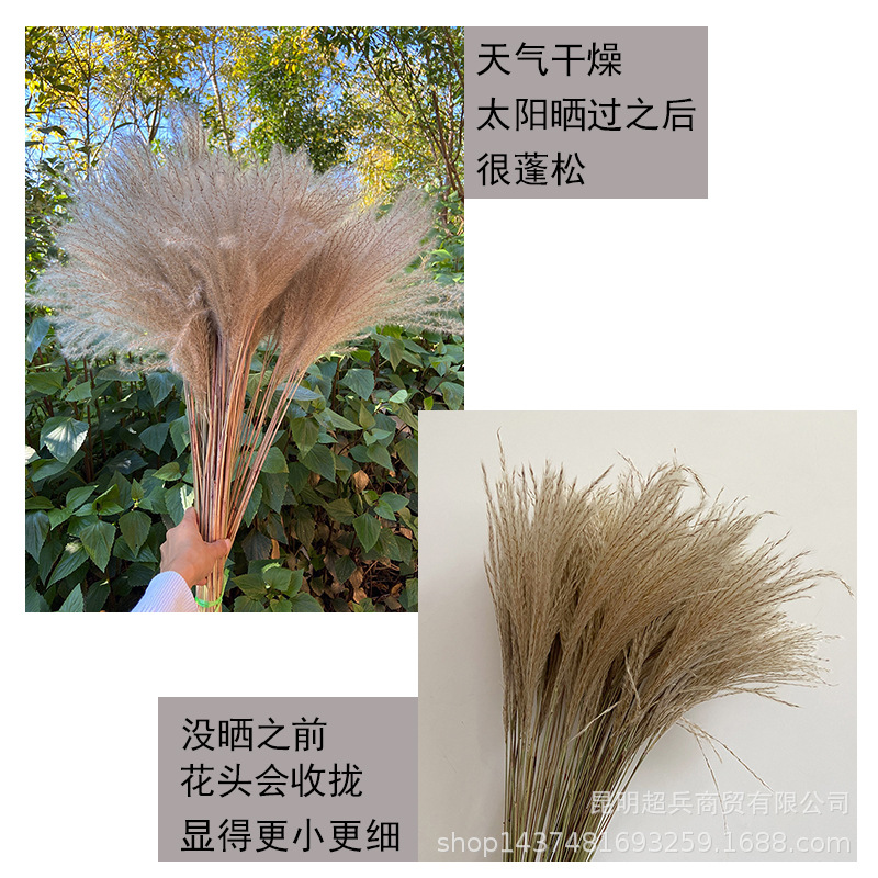 未标题-1.jpg