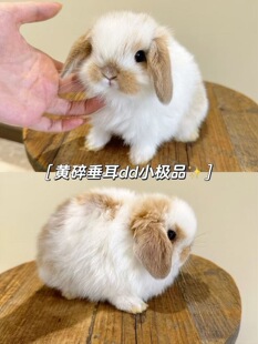 �������ӻ��w�����û��wС���ù�����؈�ú����P��٪�������Ì���