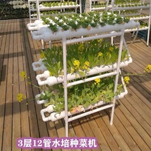 阳台无土栽培设备种植架管道式水培蔬菜种菜机多层水耕种植架家用