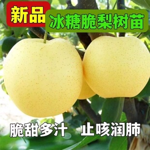 ������޽���������Sˮ���Ә��m���Ԯ���Y�������������