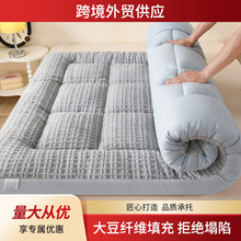 2025新款A类舒棉绒牛奶绒羽丝绒床垫床褥子多功能软垫厂家直销