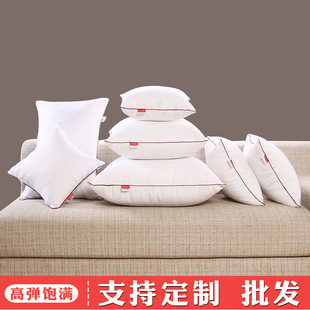 Pillow core liner core cushion core 45 50 × 50 sofa living room backrest pillow core cross-border foreign trade wholesale
