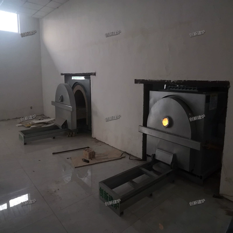 Мертвая кошка и собака Хороший конец крематор труп животного крематор безвредный крематор завод прямые поставки