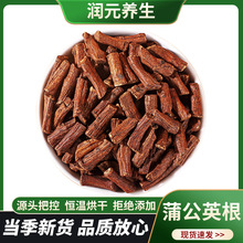 长白山蒲公英根中药材大货蒲公英根蒲公英跟段批发婆婆丁根批发包