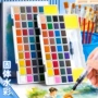 儿童初学者固体水彩水粉